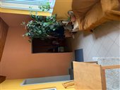 fotografia